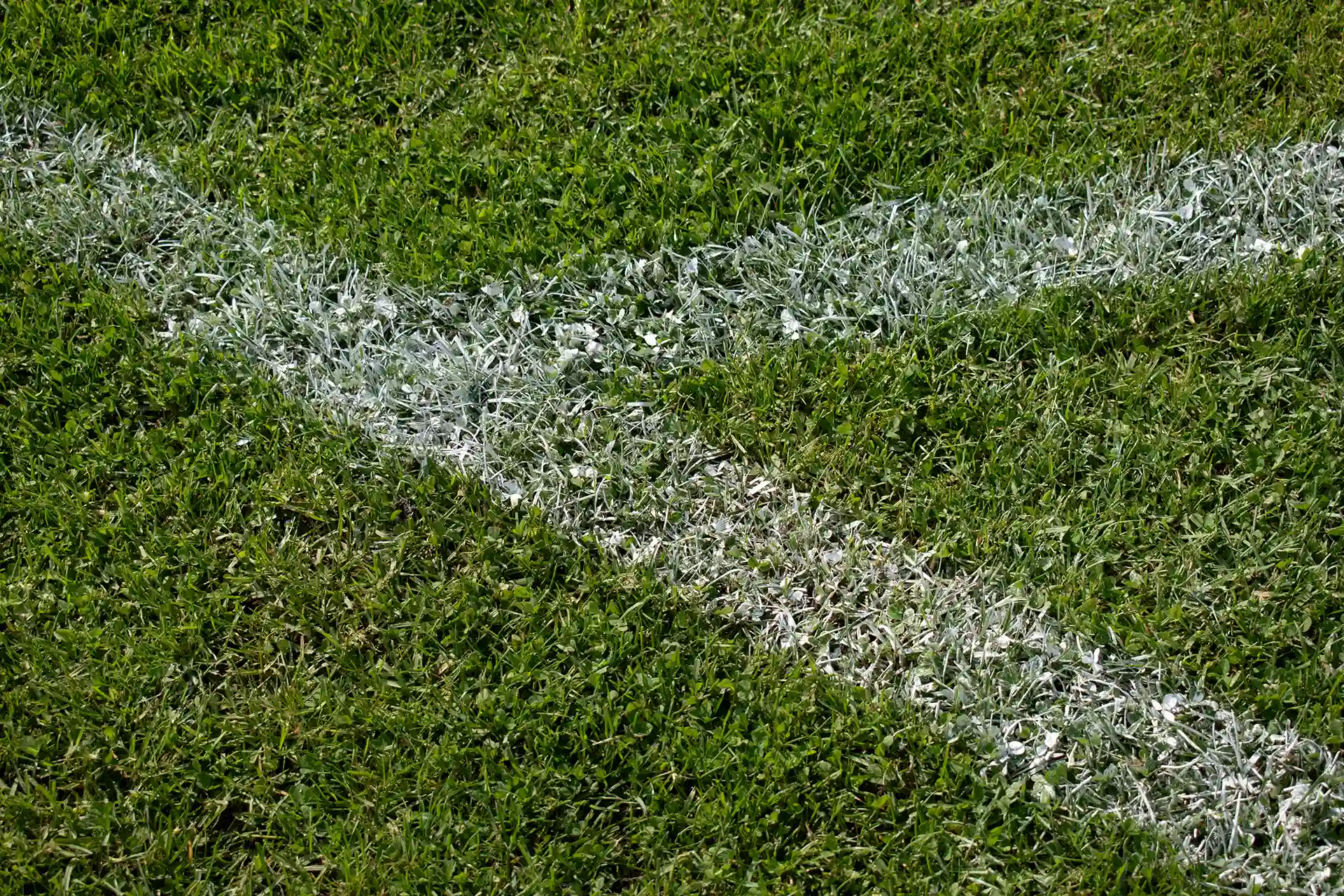 Testbeitrag Fußball