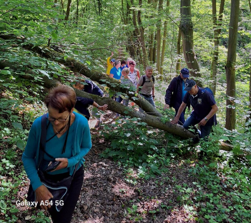 13. Wanderung W1: Laucha (Unstrut) am 28. Mai 2026