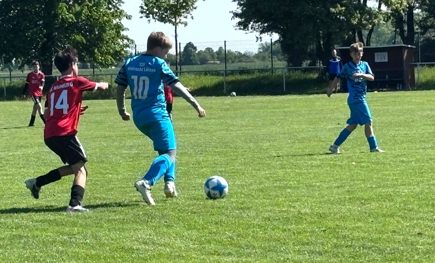 11 Naumburg