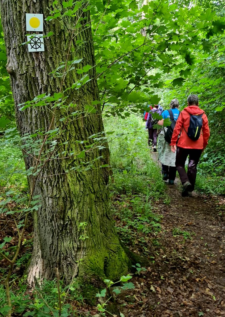 15. Wanderung W1: Naumburg Buchholz Rundweg am 11. Juni 2026