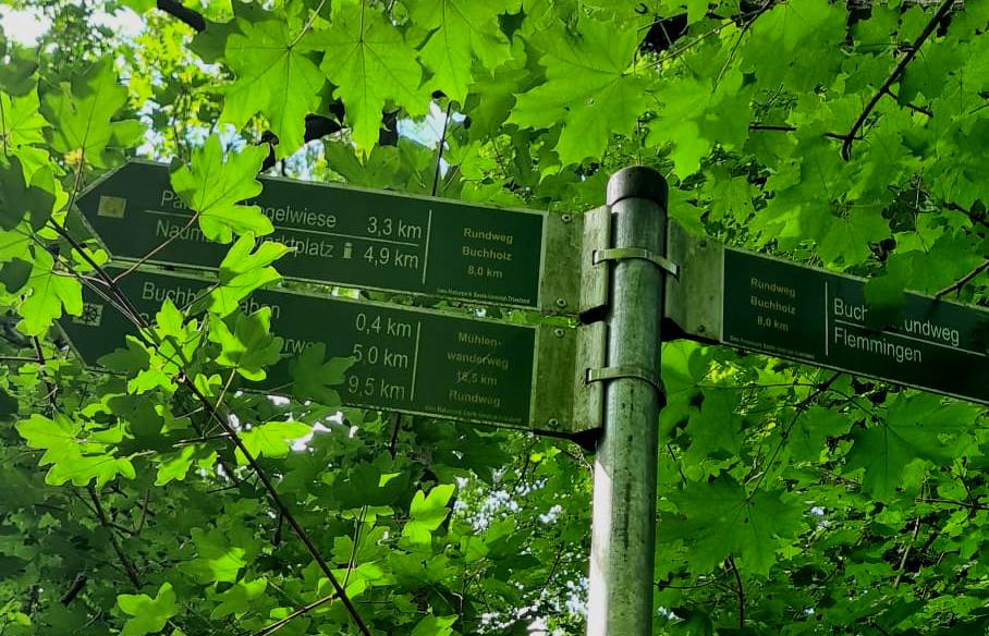 15. Wanderung W1: Naumburg Buchholz Rundweg am 11. Juni 2026