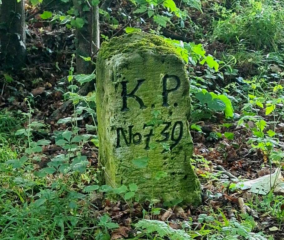 15. Wanderung W1: Naumburg Buchholz Rundweg am 11. Juni 2026