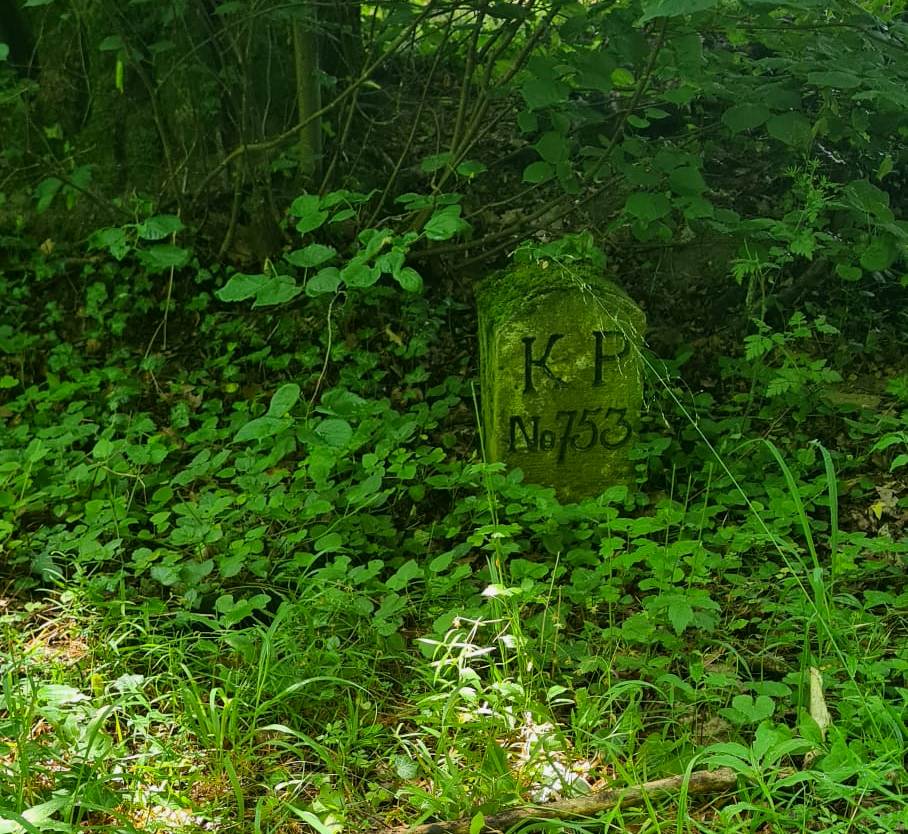 15. Wanderung W1: Naumburg Buchholz Rundweg am 11. Juni 2026