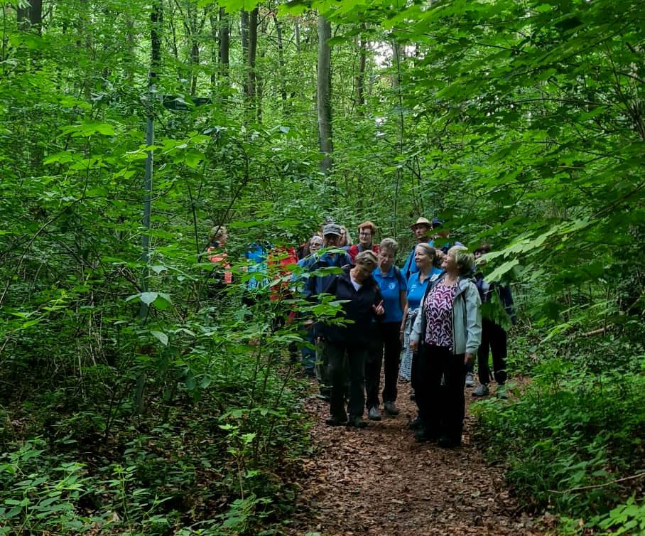 15. Wanderung W1: Naumburg Buchholz Rundweg am 11. Juni 2026