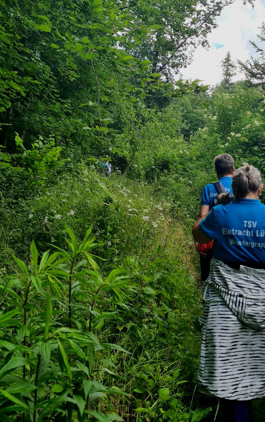 15. Wanderung W1: Naumburg Buchholz Rundweg am 11. Juni 2026