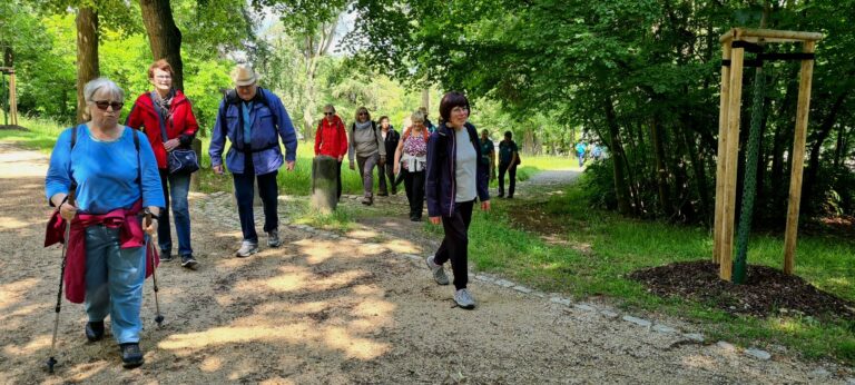 15. Wanderung W1: Naumburg Buchholz Rundweg am 11. Juni 2026