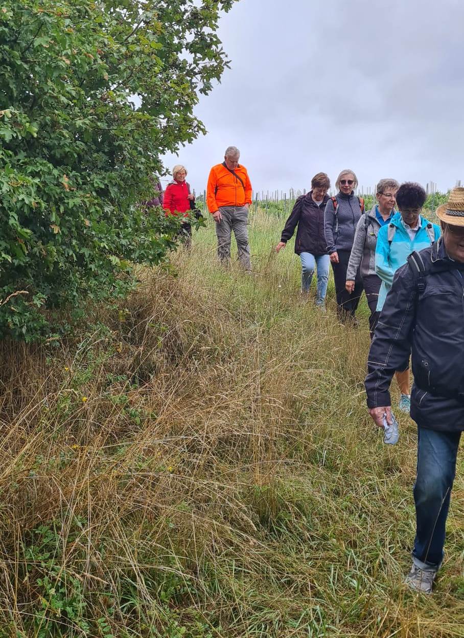 21. Wanderung W1 Rund um Pödelist am 23. Juli 2026