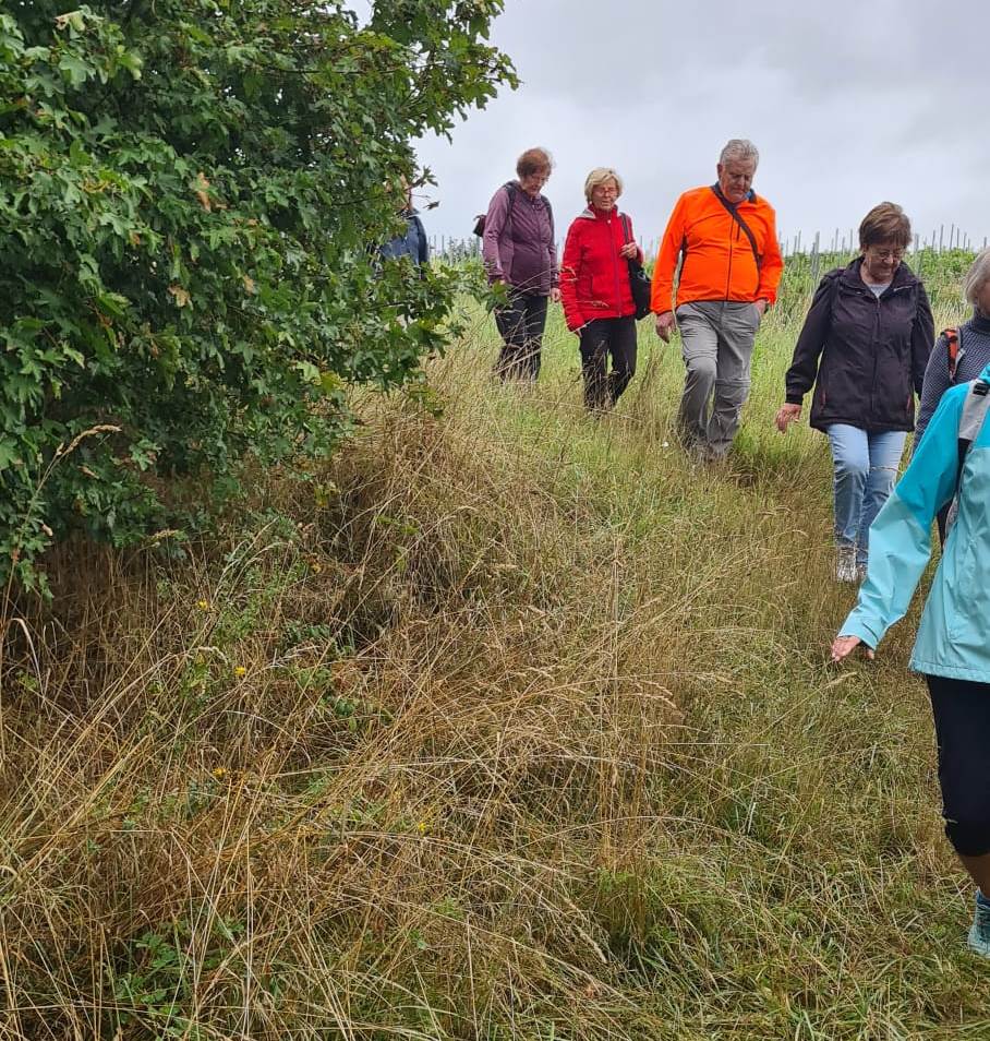 21. Wanderung W1 Rund um Pödelist am 23. Juli 2026