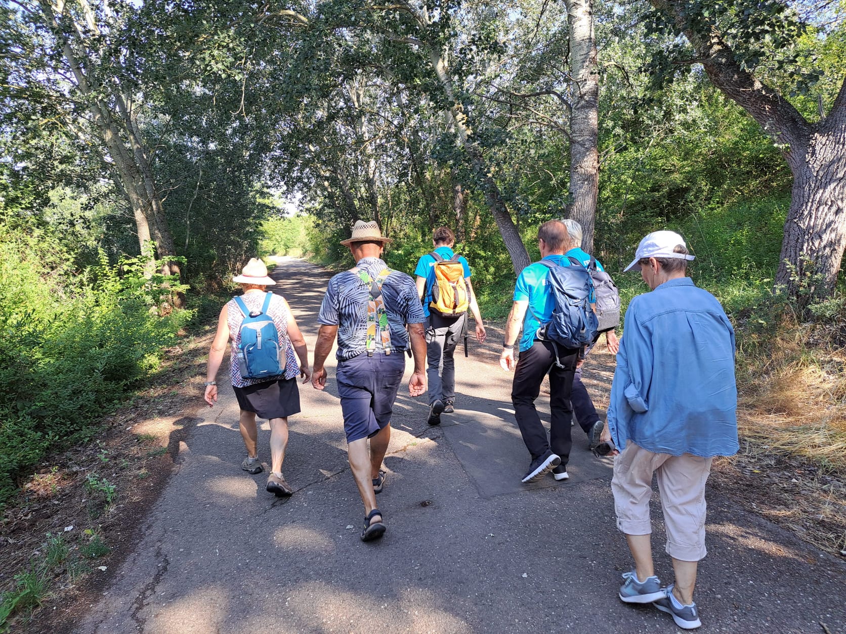 17. Wanderung W2 Rund um den Süßen See am 02. Juli 2026