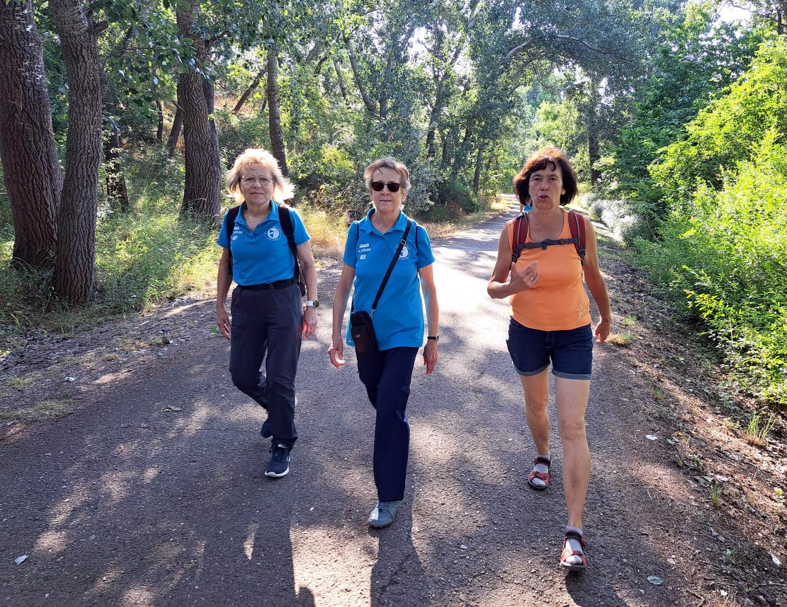 17. Wanderung W2 Rund um den Süßen See am 02. Juli 2026