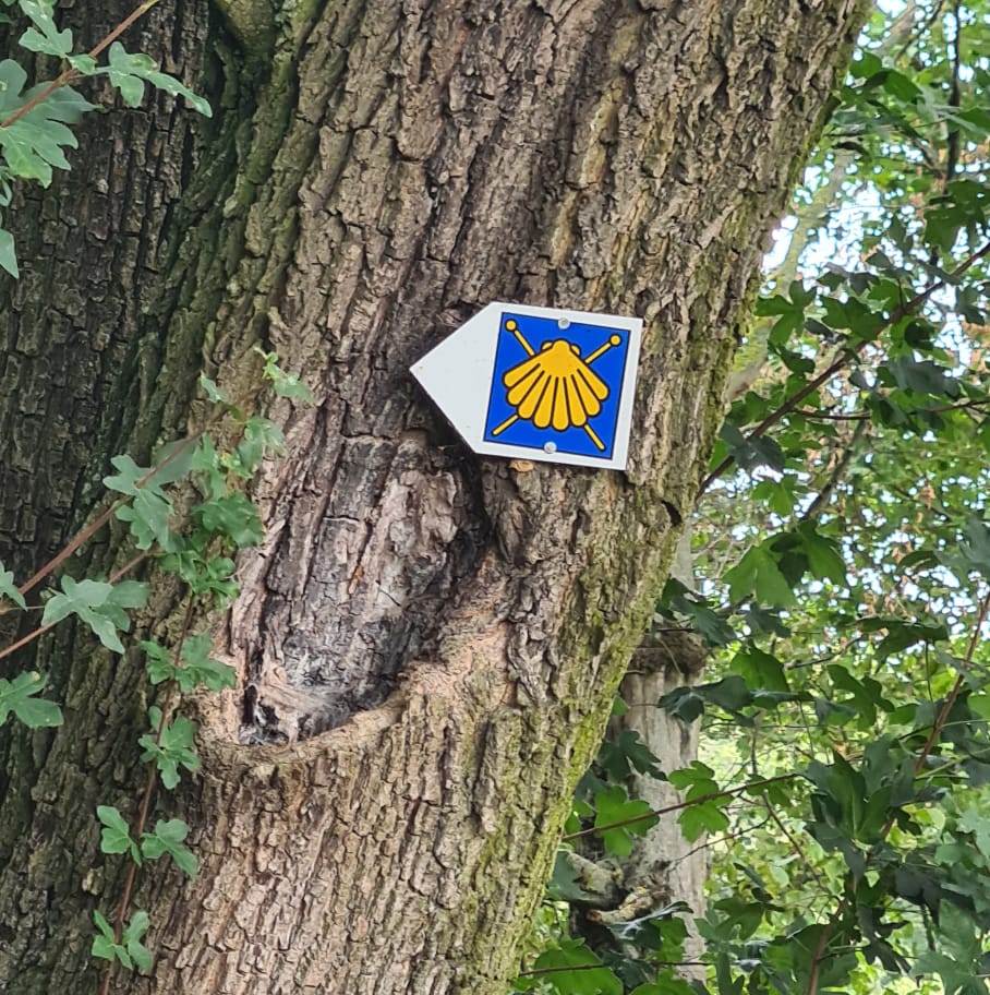 21. Wanderung W1 Rund um Pödelist am 23. Juli 2026