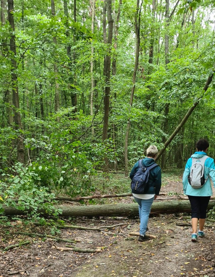 21. Wanderung W1 Rund um Pödelist am 23. Juli 2026