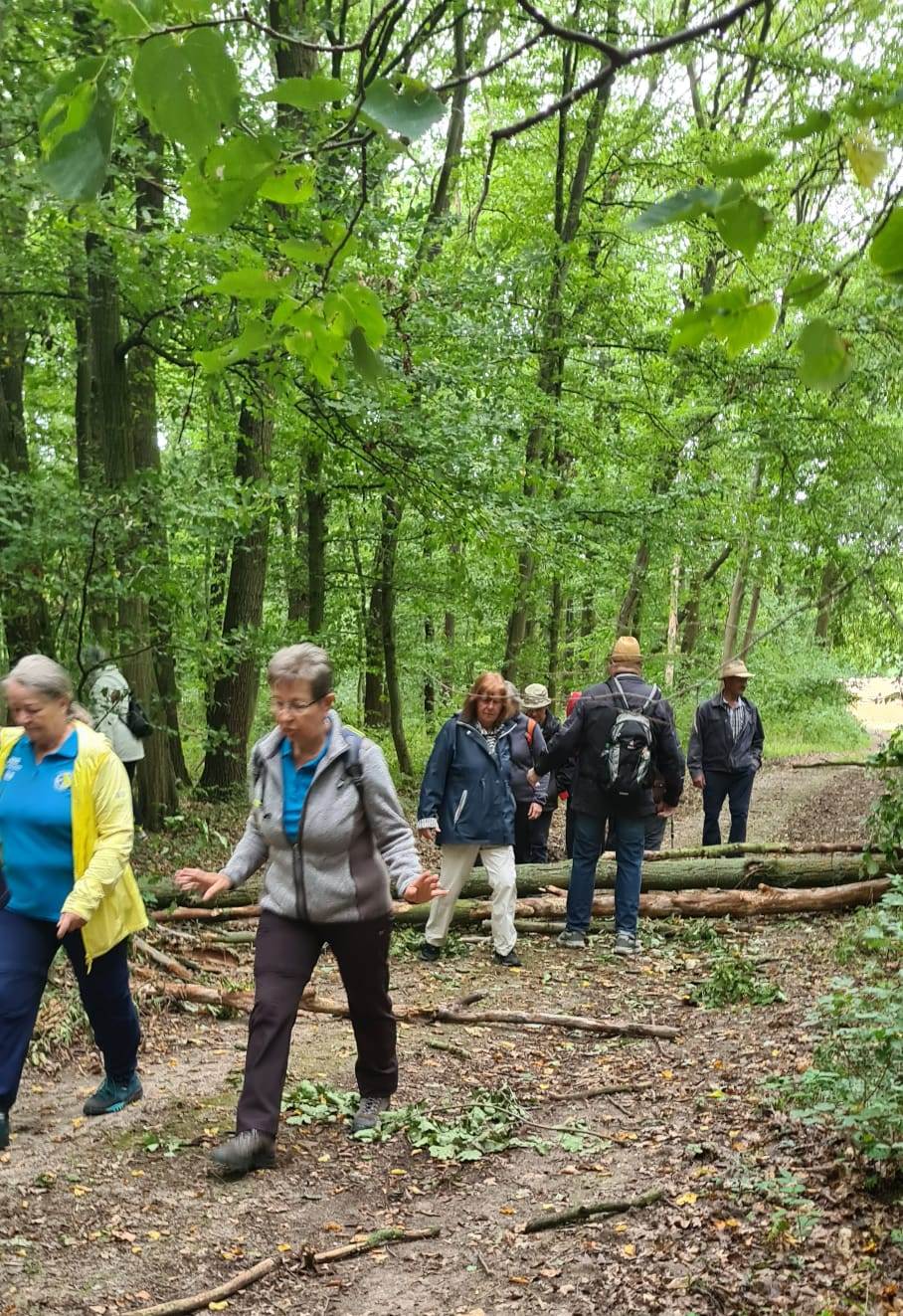 21. Wanderung W1 Rund um Pödelist am 23. Juli 2026
