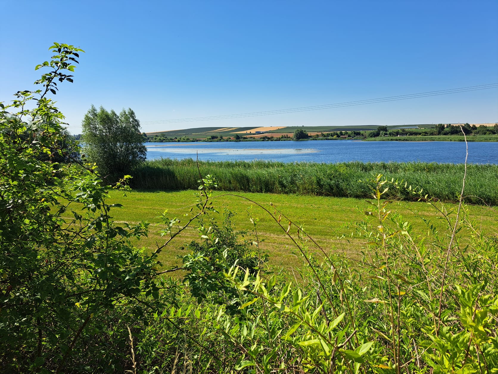 17. Wanderung W2 Rund um den Süßen See am 02. Juli 2026