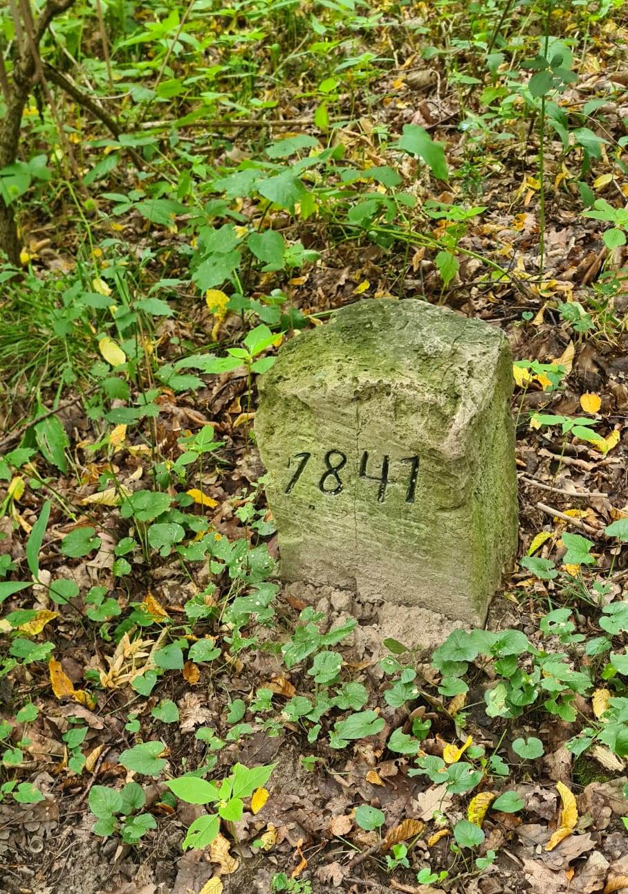 21. Wanderung W1 Rund um Pödelist am 23. Juli 2026