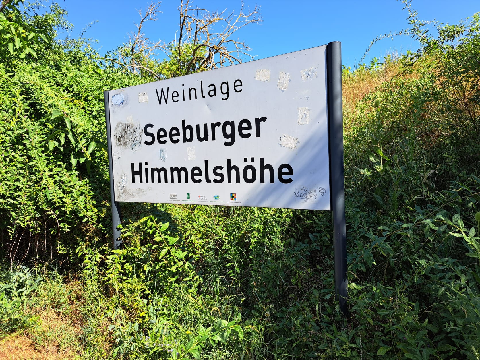 17. Wanderung W2 Rund um den Süßen See am 02. Juli 2026