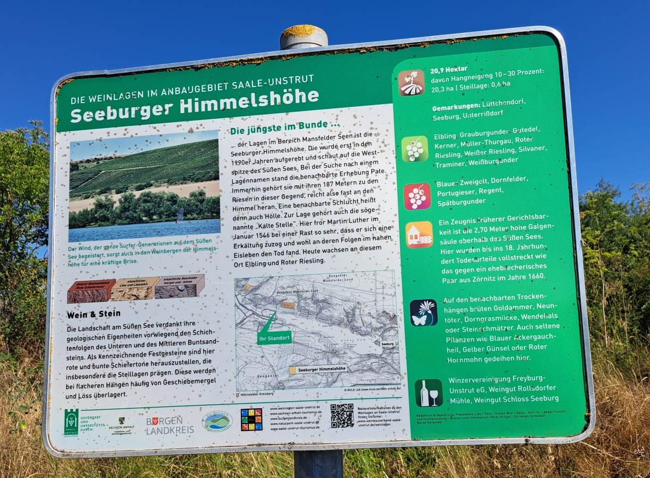 17. Wanderung W2 Rund um den Süßen See am 02. Juli 2026