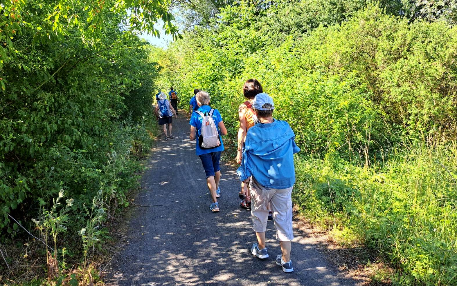 17. Wanderung W2 Rund um den Süßen See am 02. Juli 2026