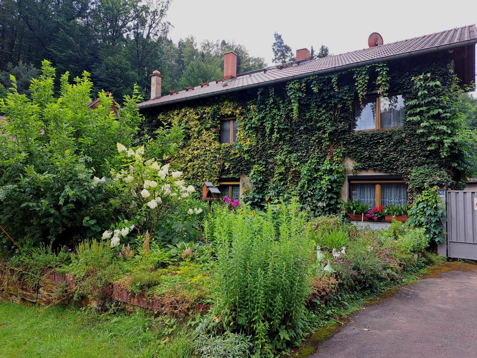 20. Wanderung W2 Schluchtenweg Runde von Bürgel am 18. Juli 2026