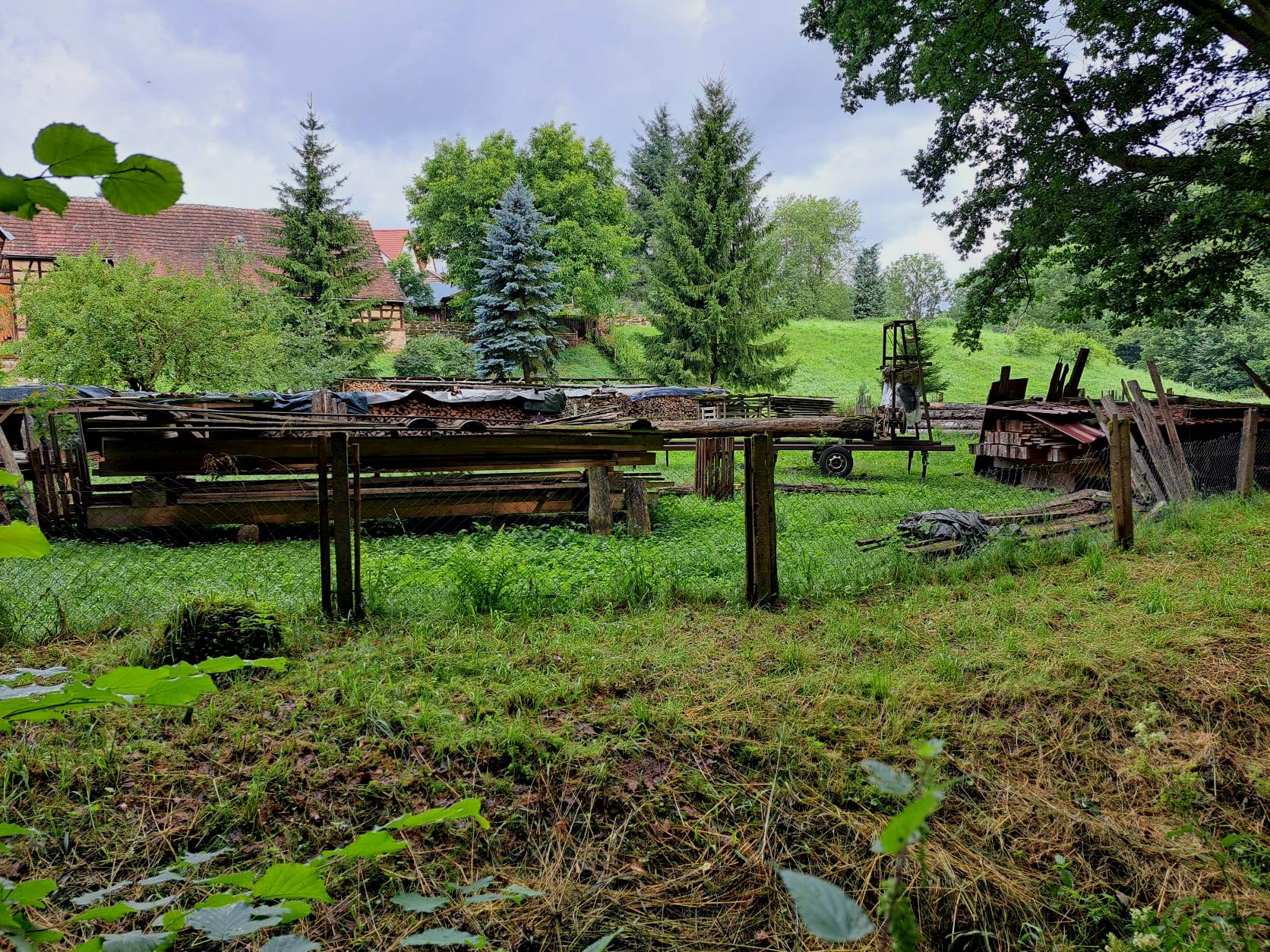 20. Wanderung W2 Schluchtenweg Runde von Bürgel am 18. Juli 2026