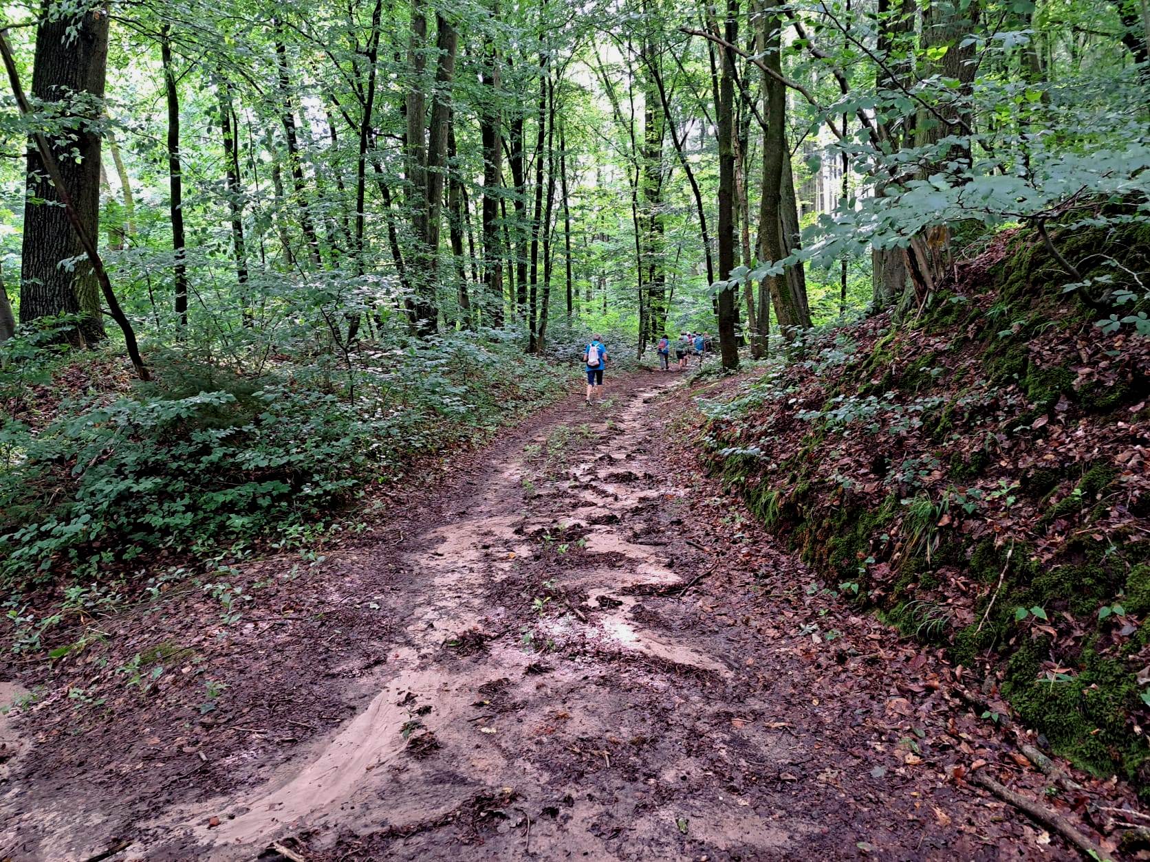 20. Wanderung W2 Schluchtenweg Runde von Bürgel am 18. Juli 2026