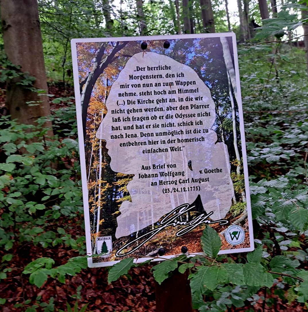 20. Wanderung W2 Schluchtenweg Runde von Bürgel am 18. Juli 2026