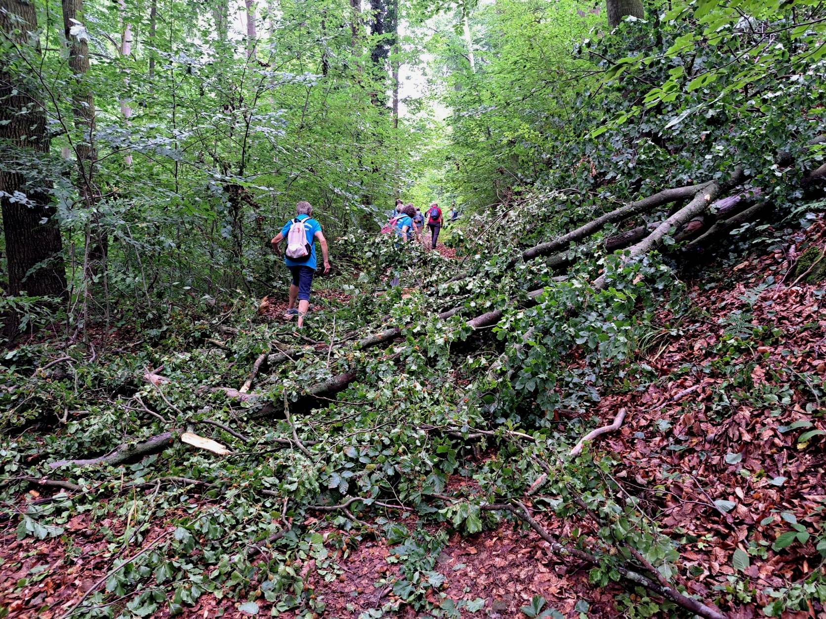 20. Wanderung W2 Schluchtenweg Runde von Bürgel am 18. Juli 2026
