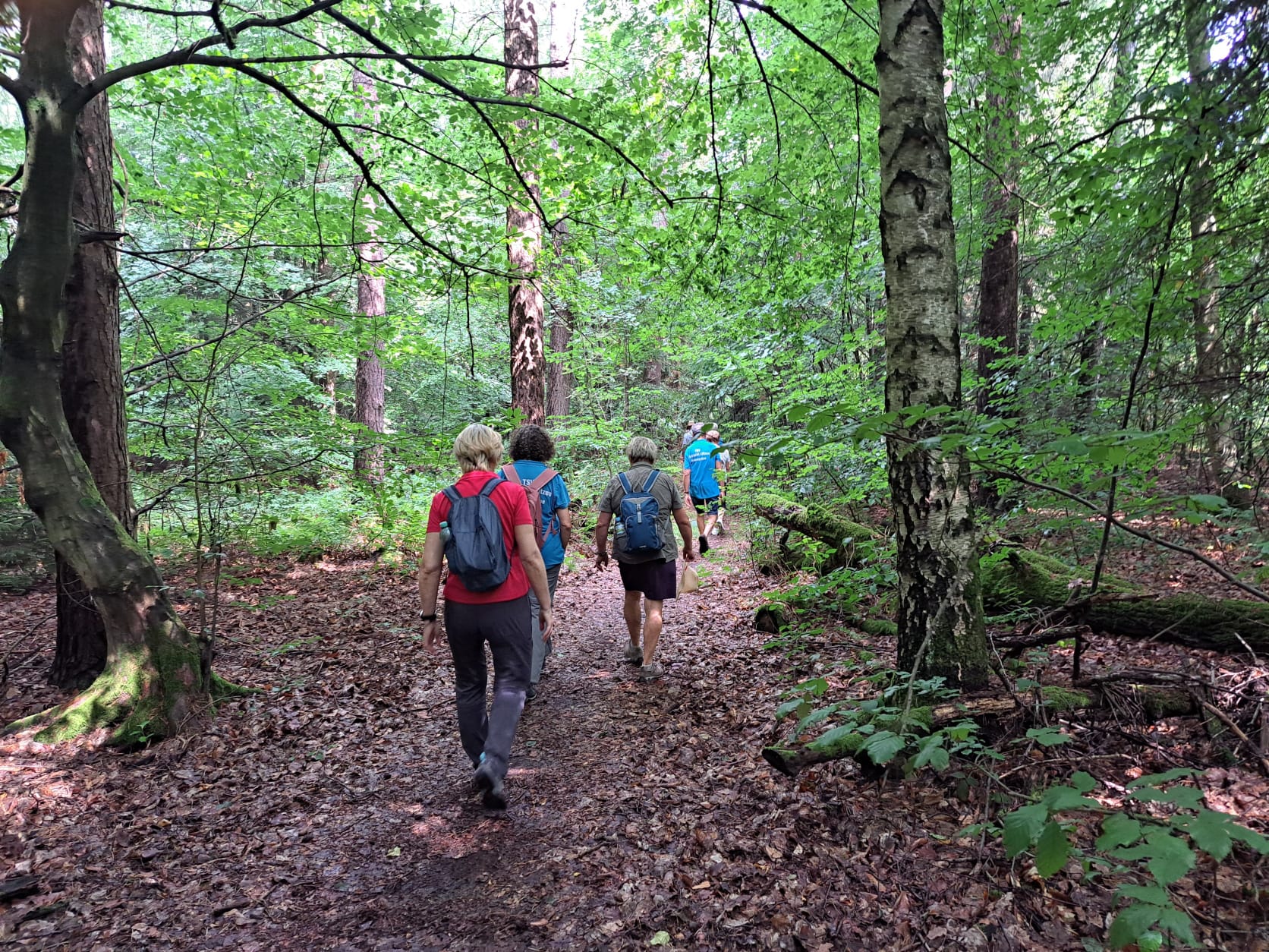 20. Wanderung W2 Schluchtenweg Runde von Bürgel am 18. Juli 2026