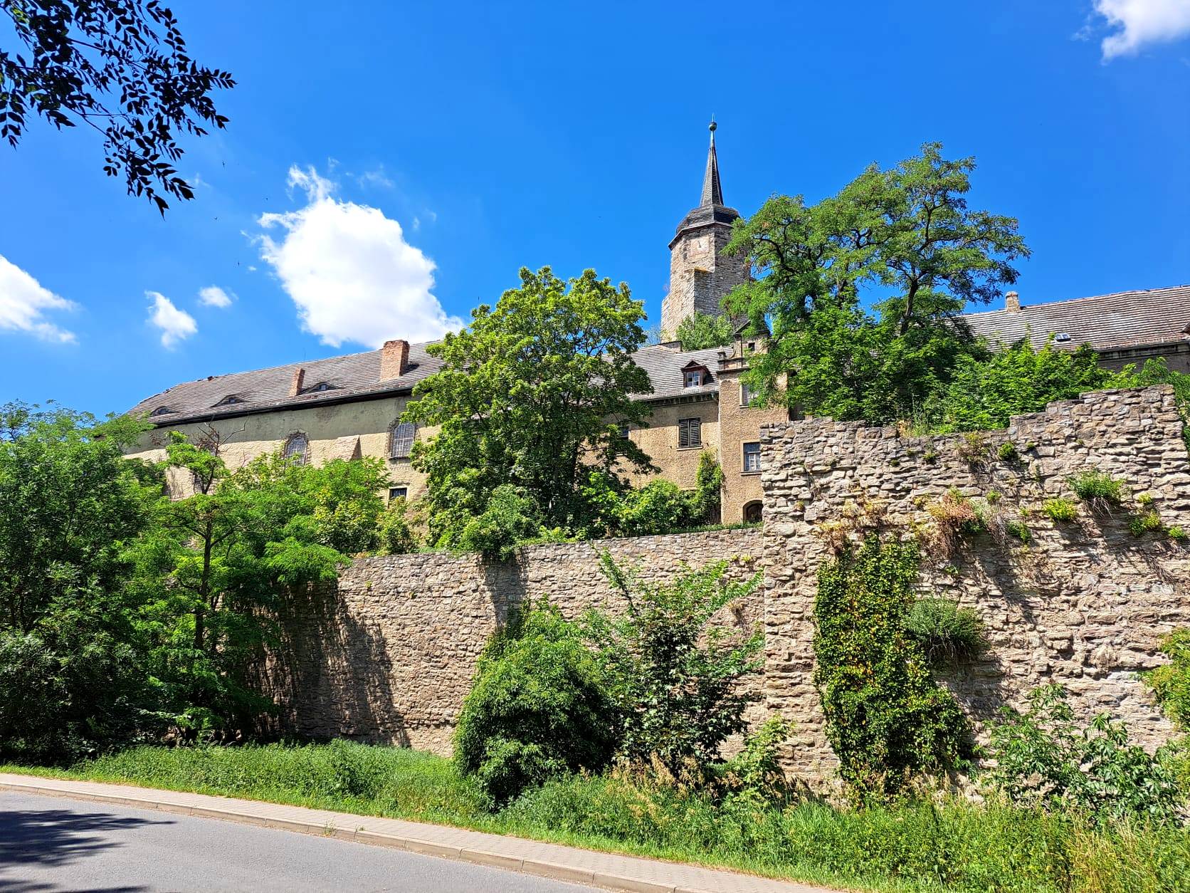17. Wanderung W2 Rund um den Süßen See am 02. Juli 2026