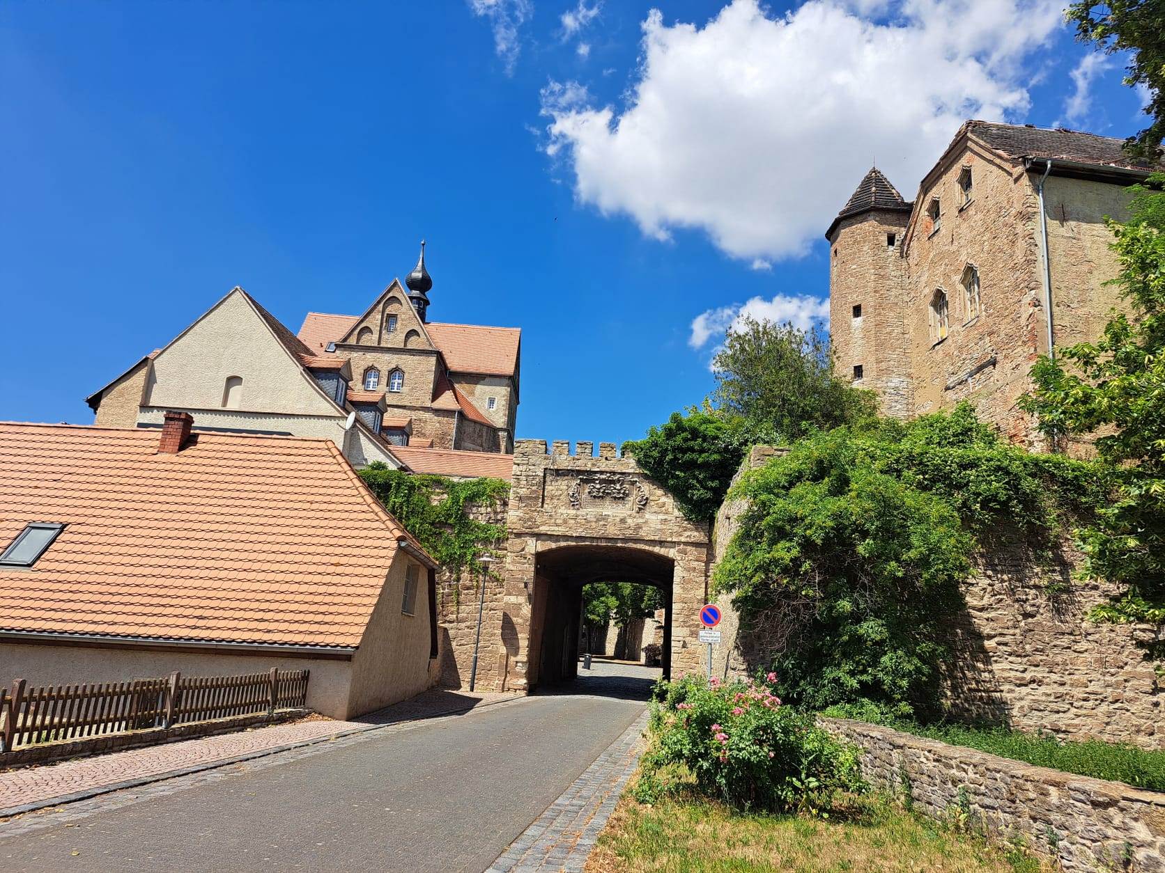 17. Wanderung W2 Rund um den Süßen See am 02. Juli 2026