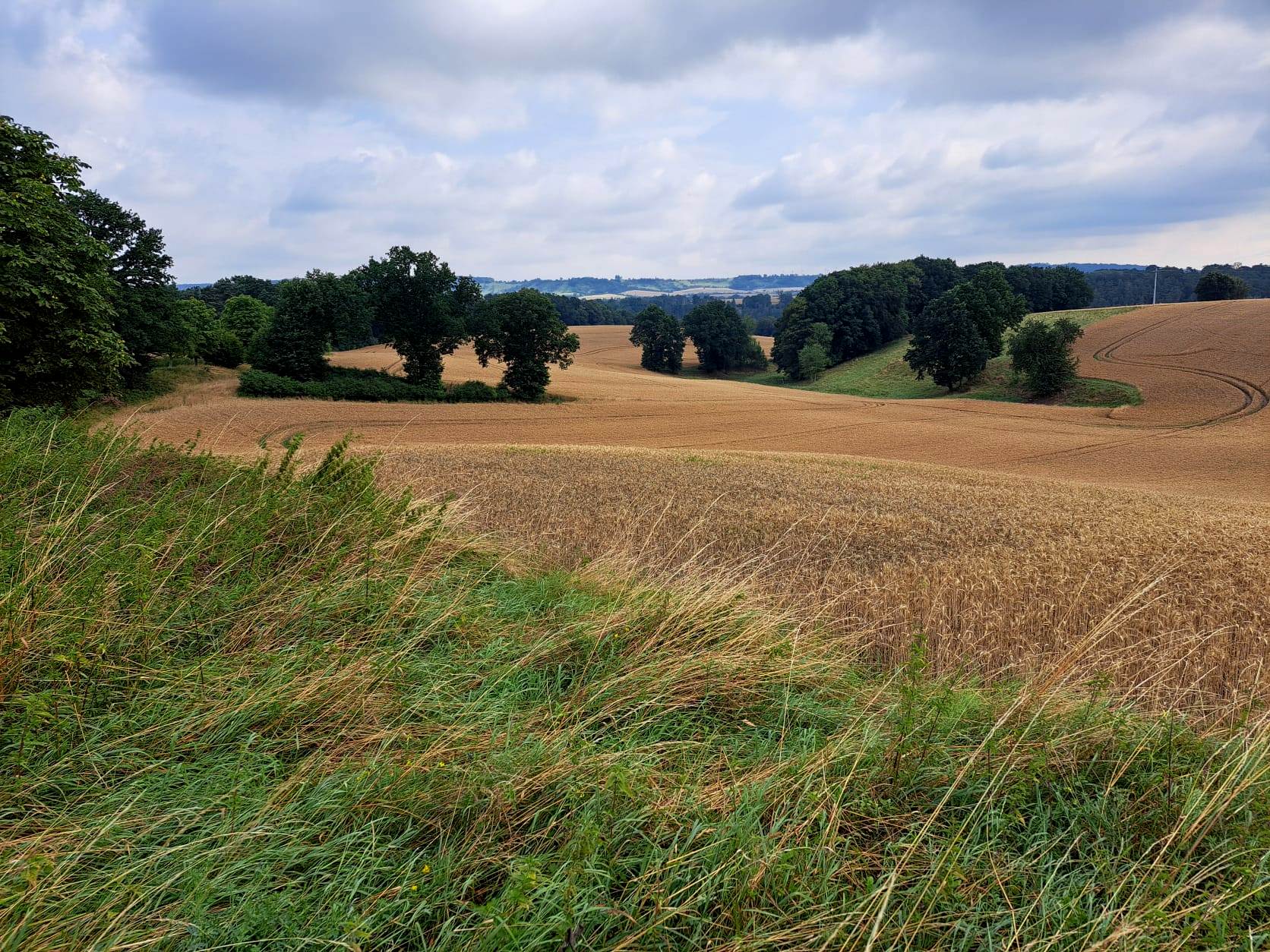 20. Wanderung W2 Schluchtenweg Runde von Bürgel am 18. Juli 2026