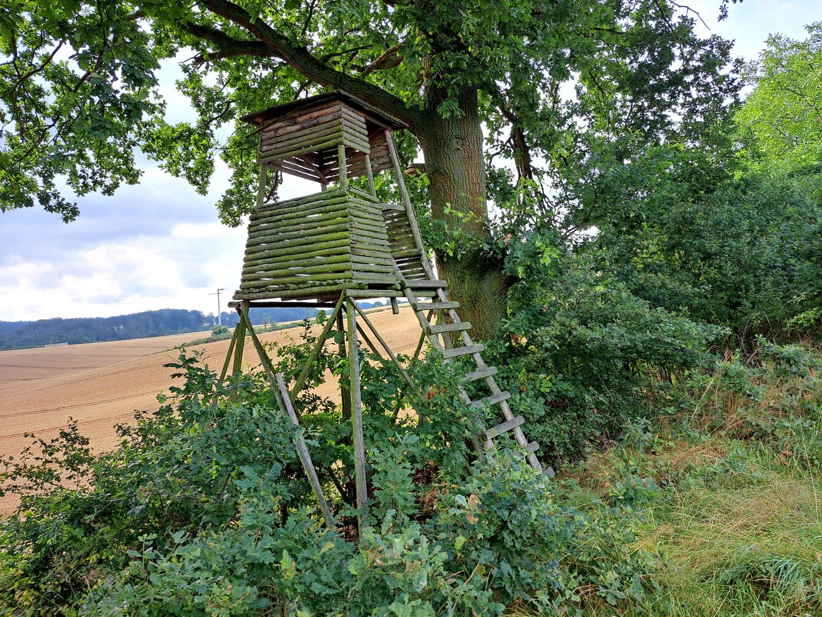 20. Wanderung W2 Schluchtenweg Runde von Bürgel am 18. Juli 2026