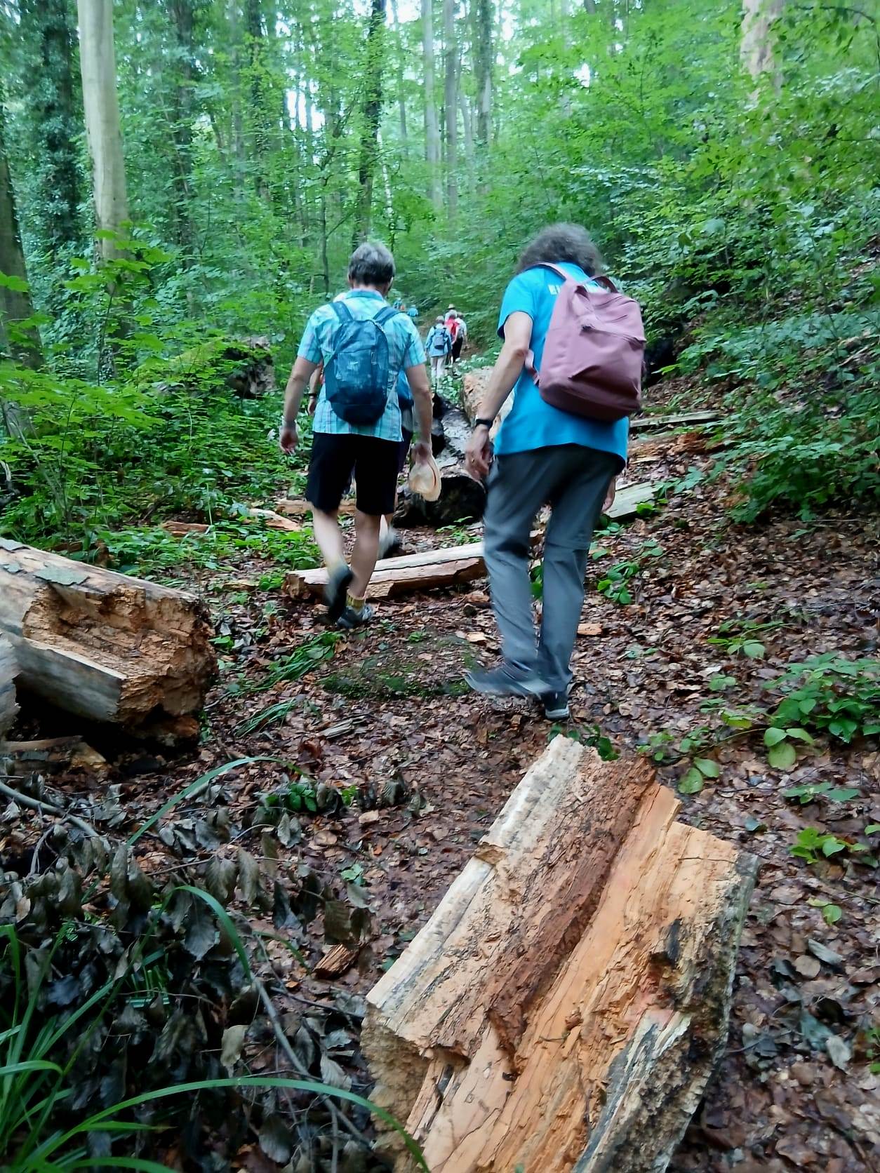 20. Wanderung W2 Schluchtenweg Runde von Bürgel am 18. Juli 2026