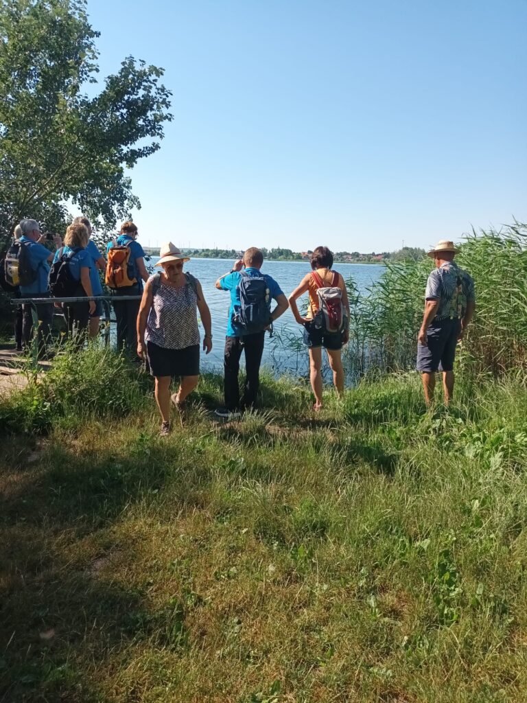 17. Wanderung W2 Rund um den Süßen See am 02. Juli 2026