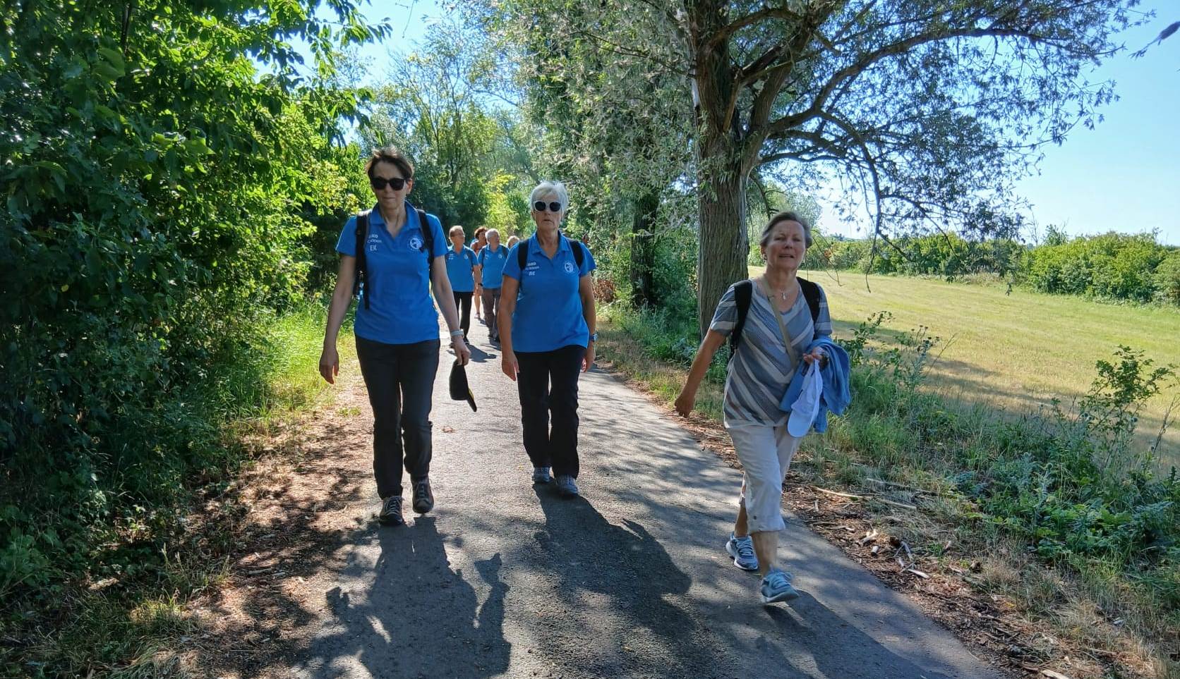 17. Wanderung W2 Rund um den Süßen See am 02. Juli 2026