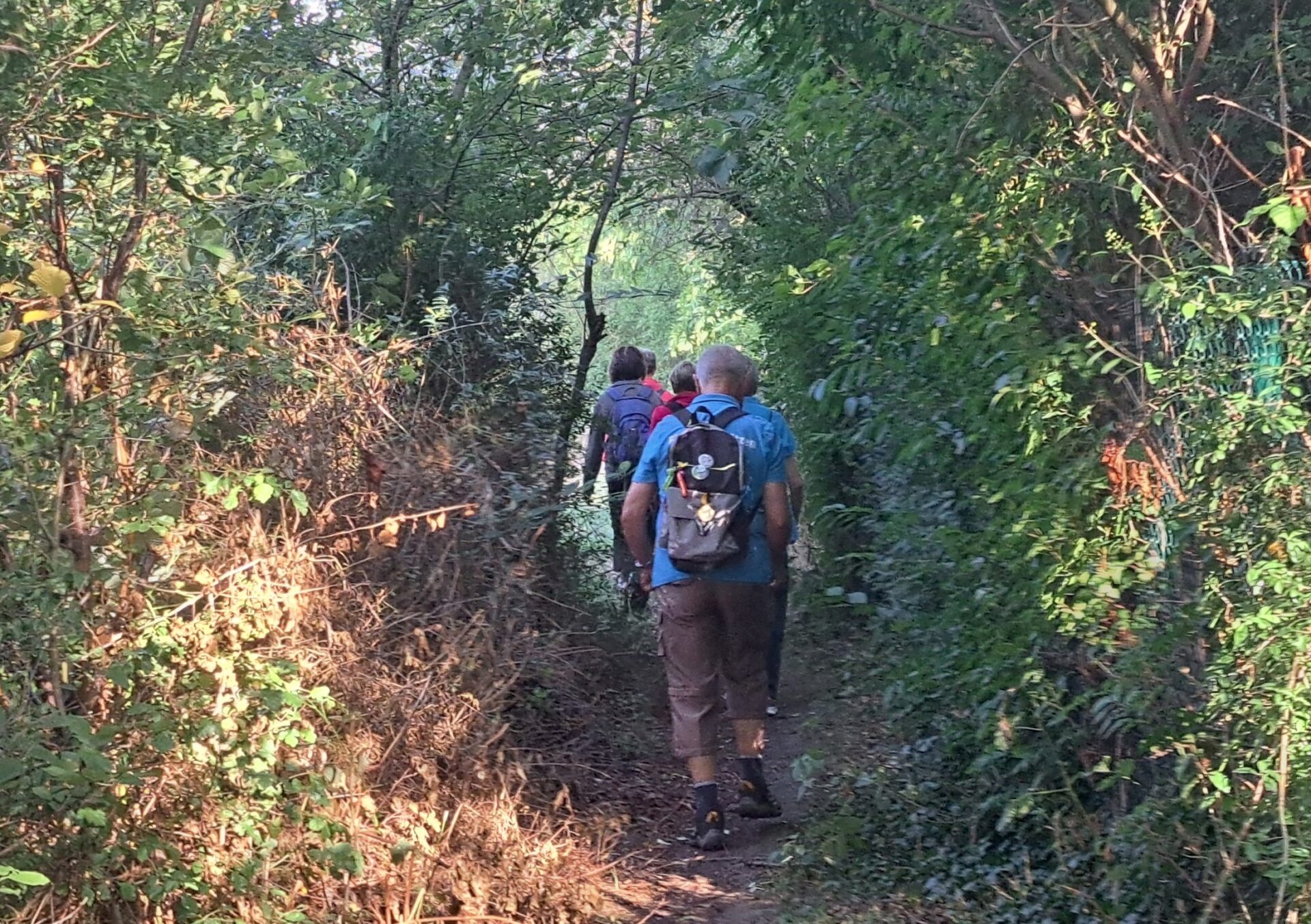 24. Wanderung W2 von Teicha zum Petersberg am 27. August 2026