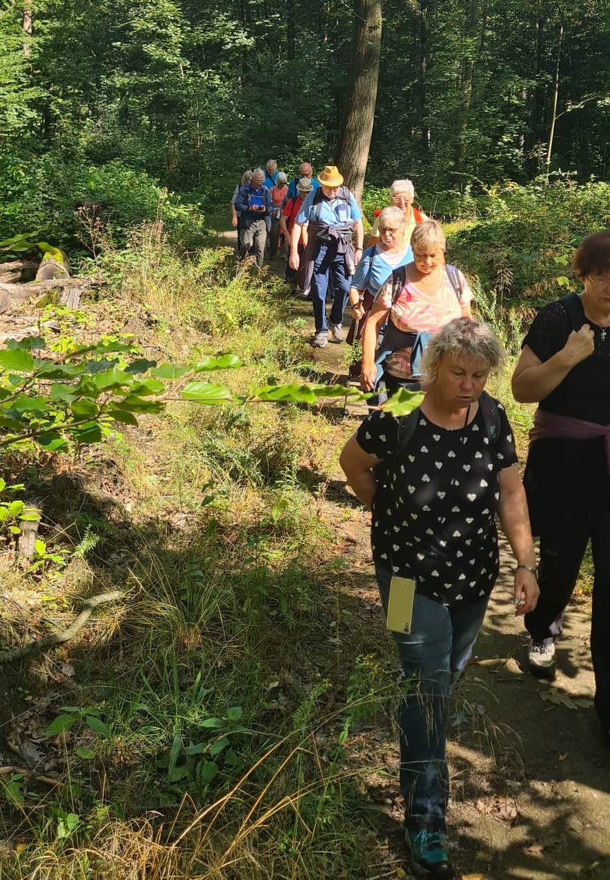 23. Wanderung W1 Baumartenpfad im Wildgehege von Großpösna 2026