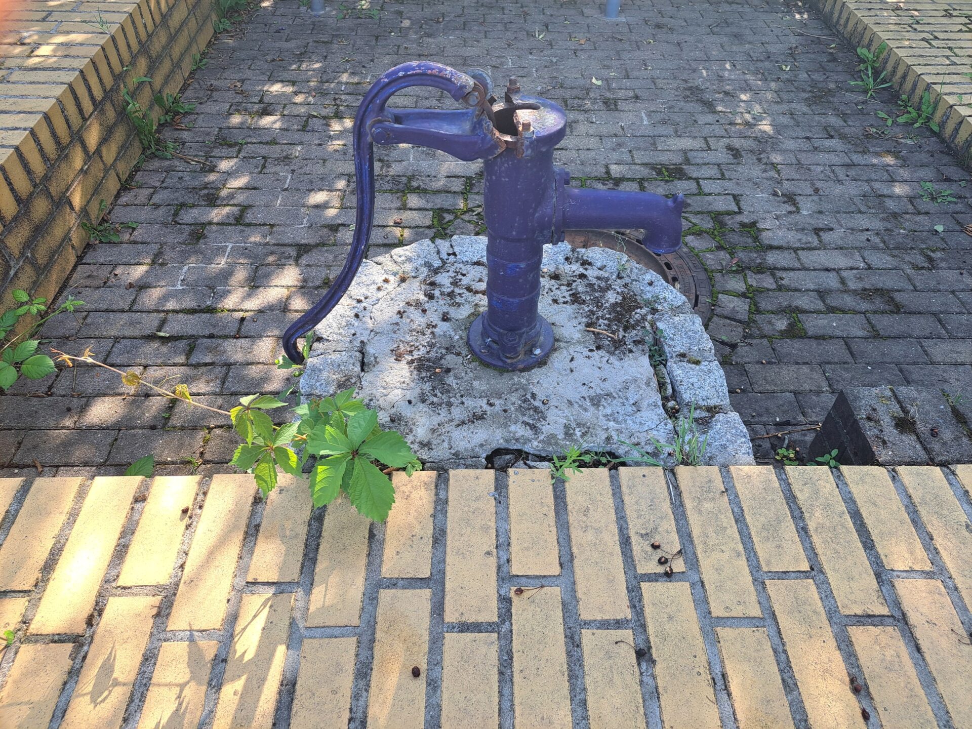 24. Wanderung W2 von Teicha zum Petersberg am 27. August 2026