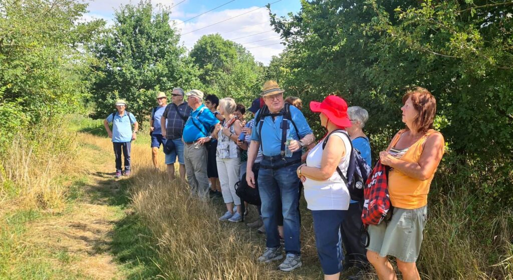 22. Wanderung W1 Runde von Luppeaue bei Horburg und Zweimen 2026