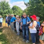 22. Wanderung W1 Runde von Luppeaue bei Horburg und Zweimen 2026