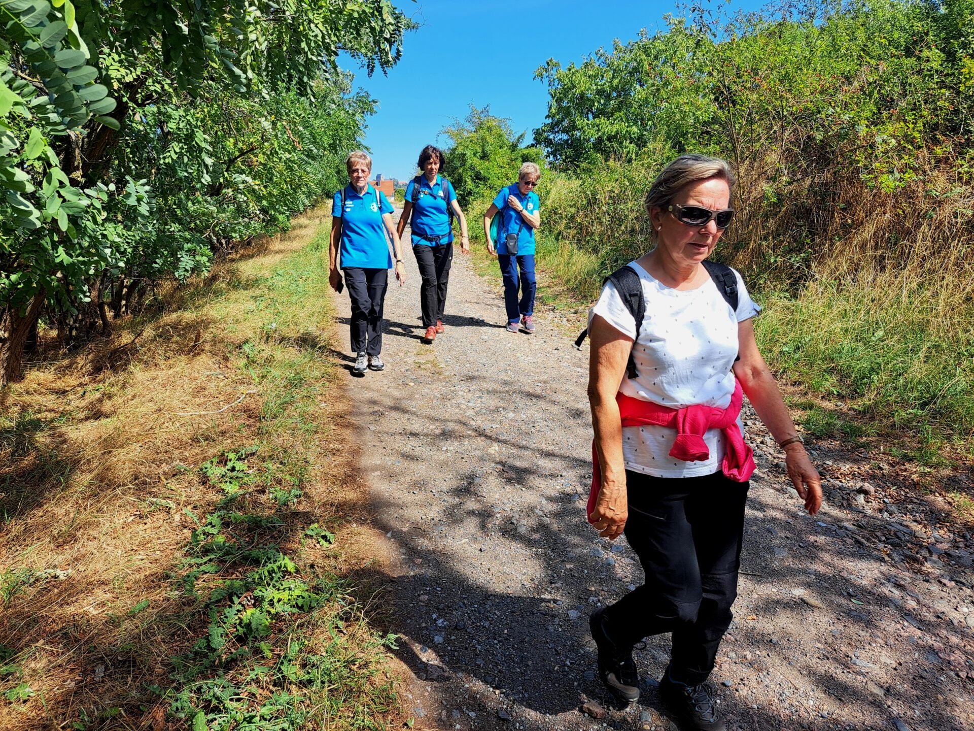 24. Wanderung W2 von Teicha zum Petersberg am 27. August 2026