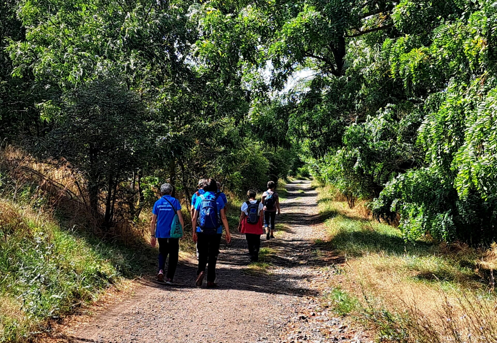24. Wanderung W2 von Teicha zum Petersberg am 27. August 2026