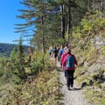 28. Wanderung W2 Jenaer Kernberge am 26. September 2026