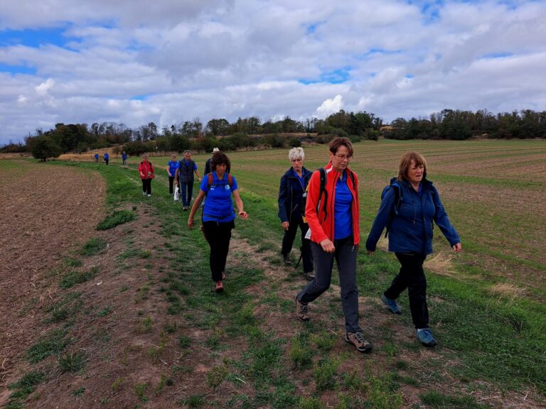 26. Wanderung W2 Grabhügel auf den Spitzberg bei Landsberg am 10. September 2026
