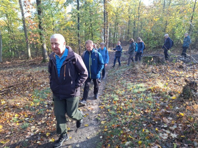 32. Wanderung W2 Albrechtshainer See – Bergkirche Beucha Runde von Brandis am 29. Oktober 2026