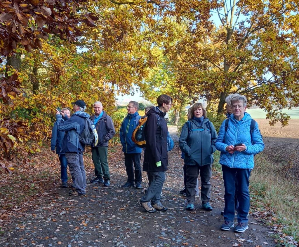 32. Wanderung W2 Video Albrechtshainer See – Bergkirche Beucha am 29. Oktober 2026
