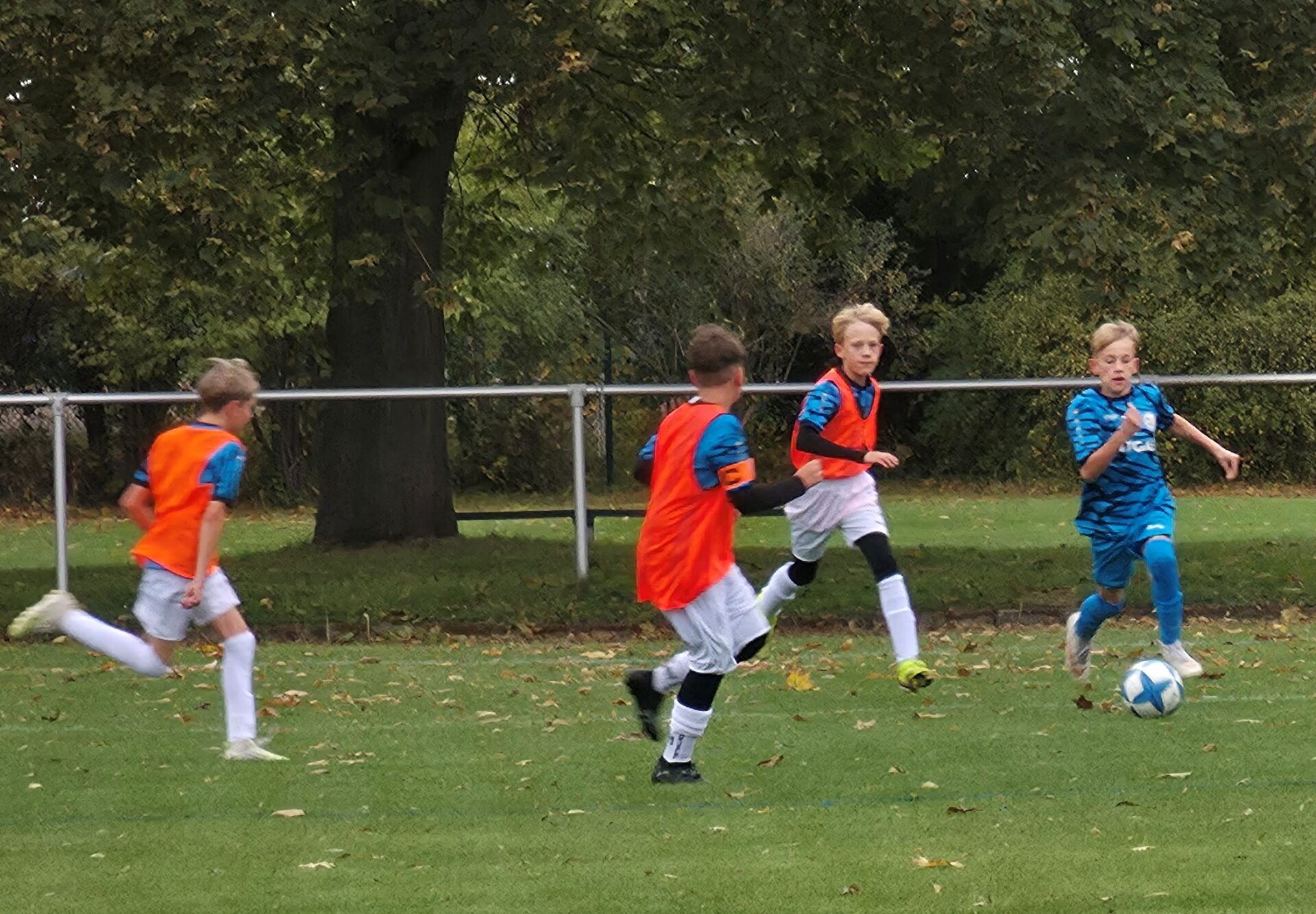 12 Leißling