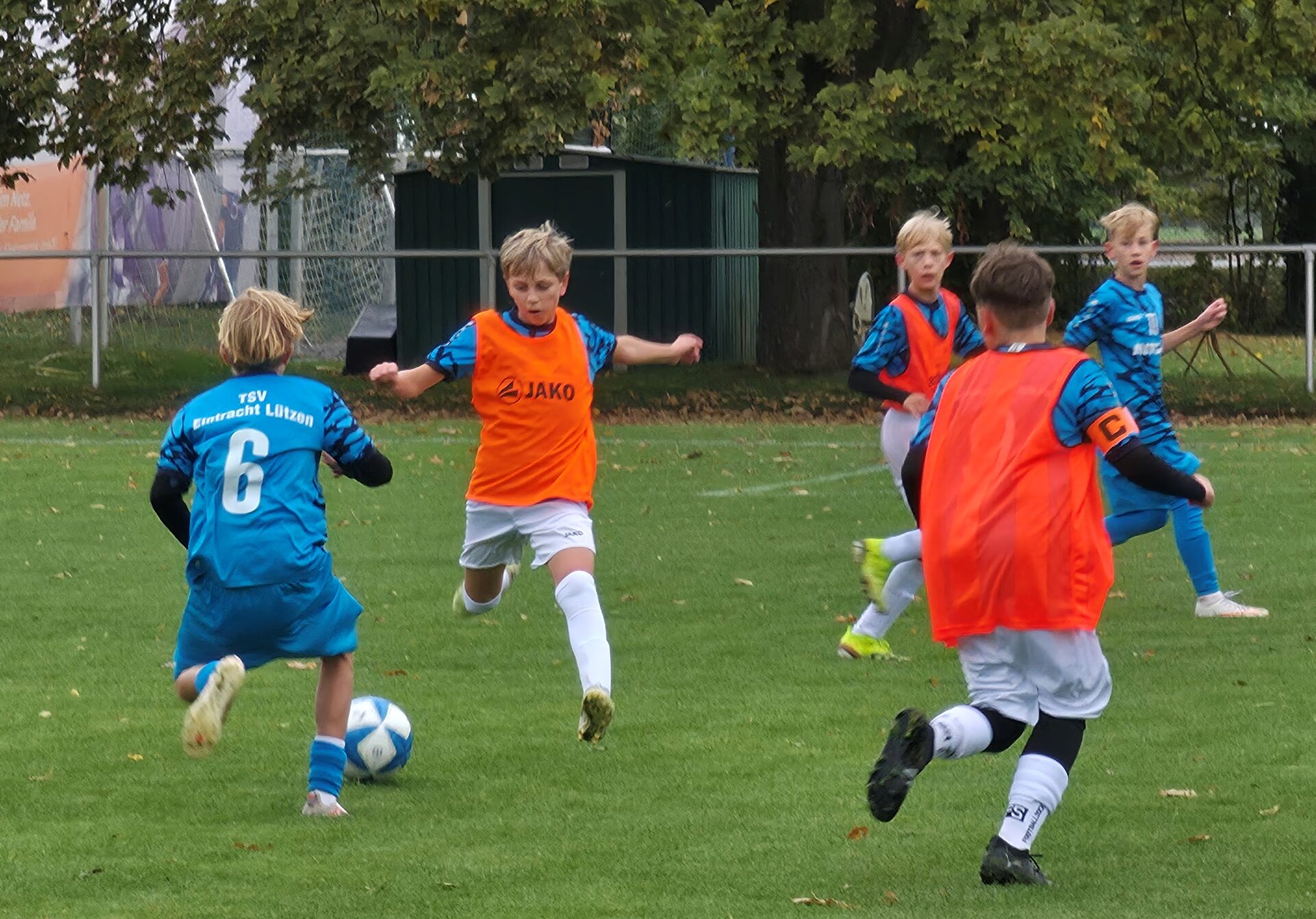 15 Leißling