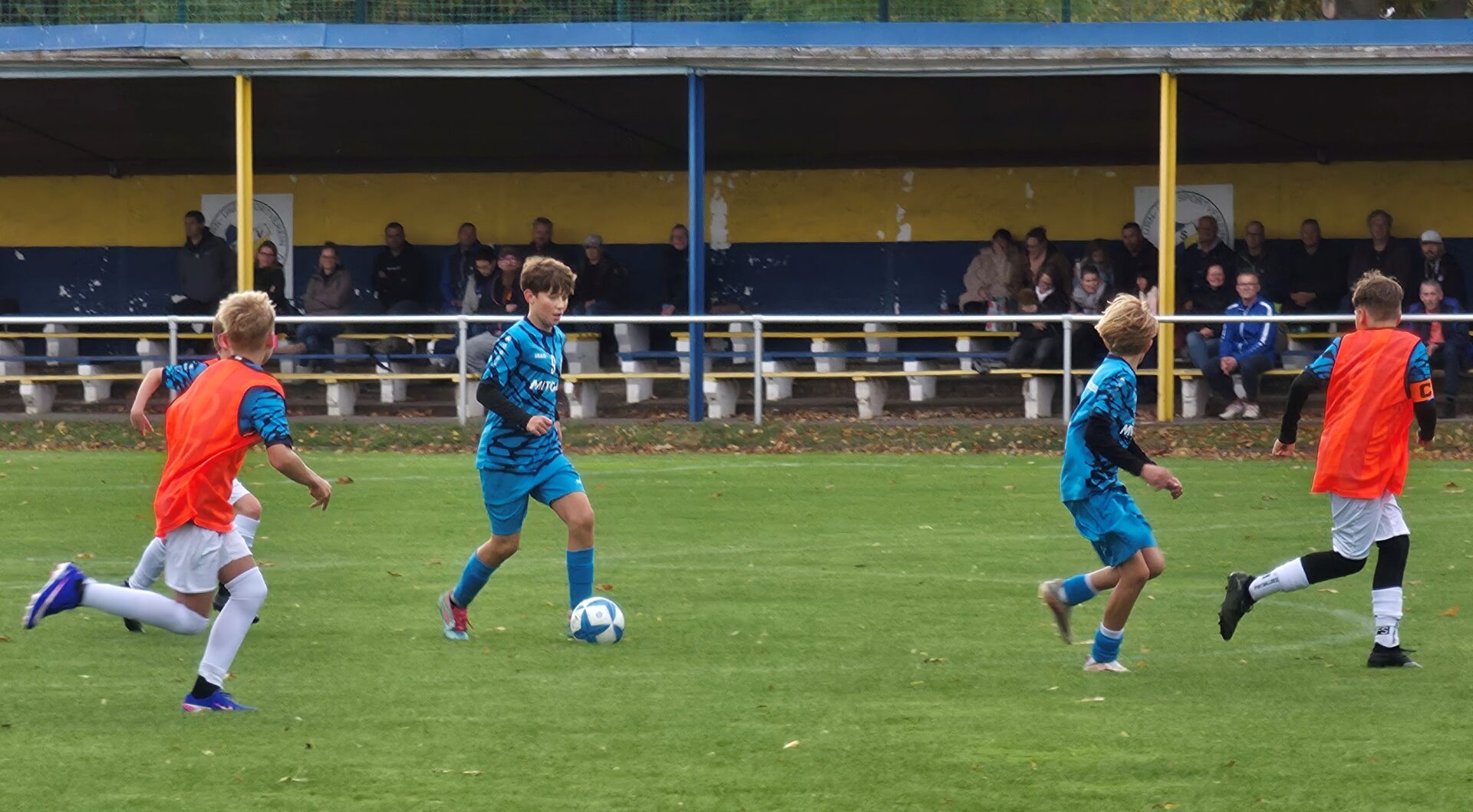 16 Leißling