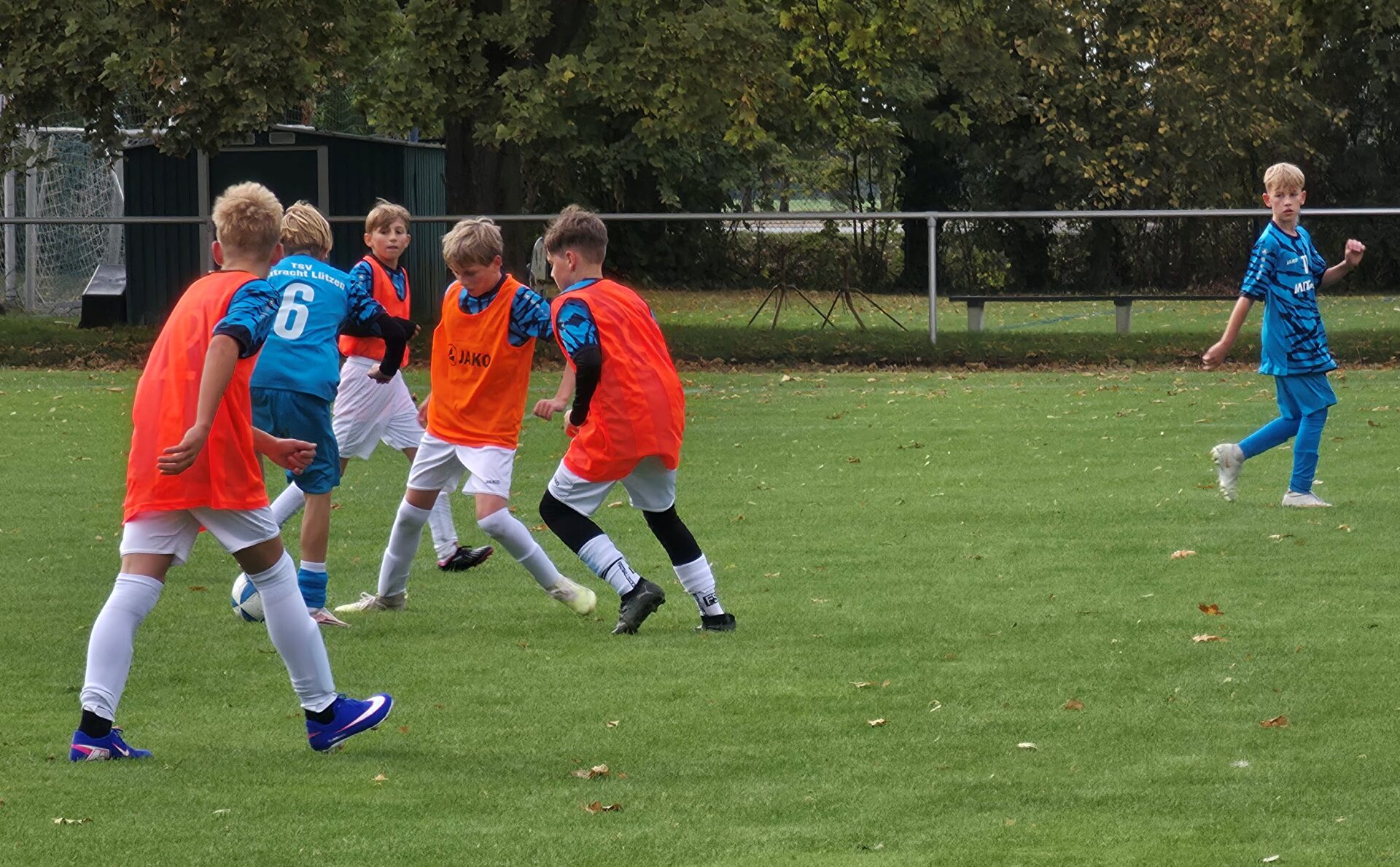 17 Leißling